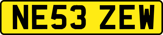 NE53ZEW