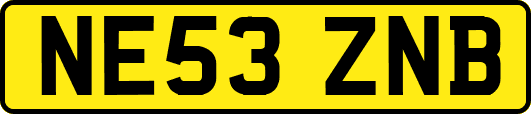 NE53ZNB