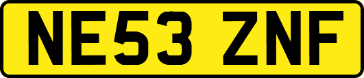NE53ZNF