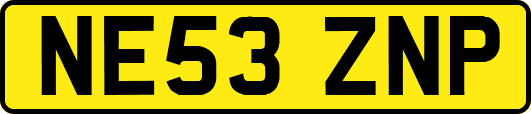 NE53ZNP