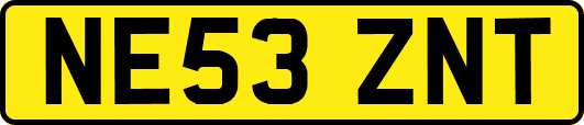 NE53ZNT