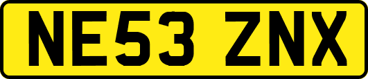 NE53ZNX