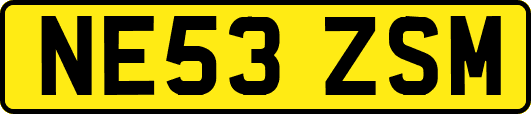 NE53ZSM