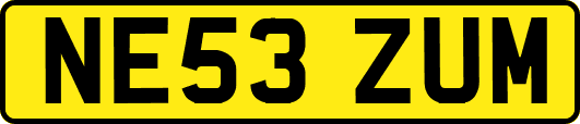 NE53ZUM