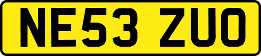 NE53ZUO
