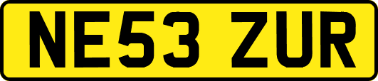 NE53ZUR