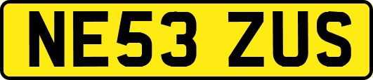 NE53ZUS