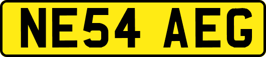 NE54AEG