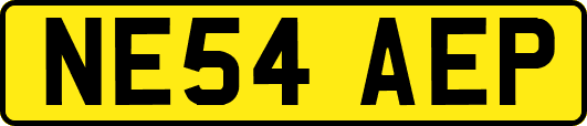 NE54AEP