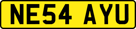 NE54AYU