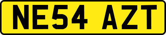 NE54AZT