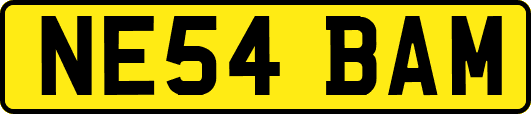 NE54BAM