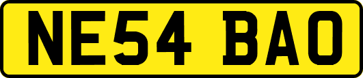 NE54BAO