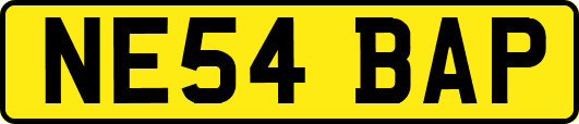 NE54BAP