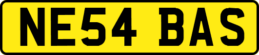 NE54BAS