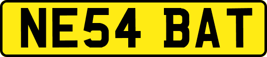 NE54BAT