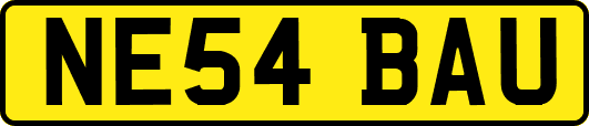 NE54BAU