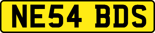 NE54BDS
