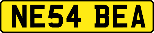 NE54BEA