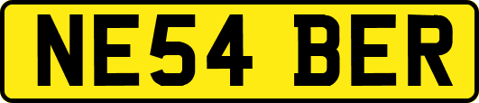 NE54BER