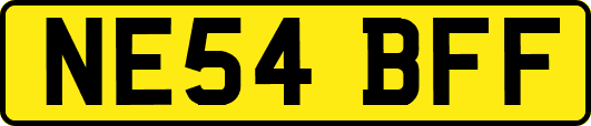 NE54BFF