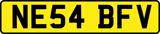 NE54BFV
