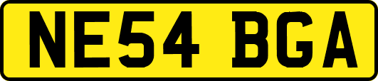 NE54BGA