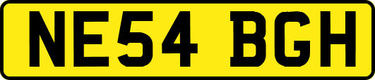 NE54BGH