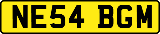 NE54BGM