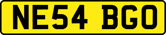 NE54BGO