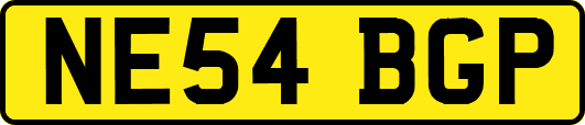 NE54BGP