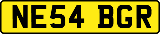 NE54BGR