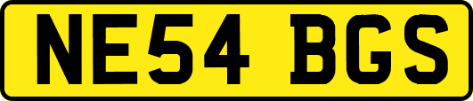 NE54BGS