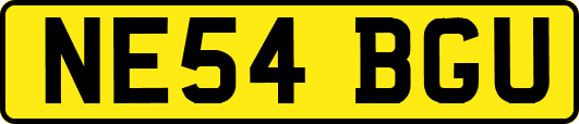 NE54BGU