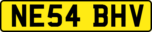 NE54BHV