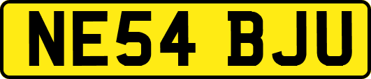 NE54BJU