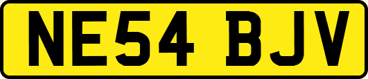 NE54BJV