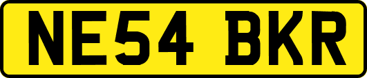 NE54BKR