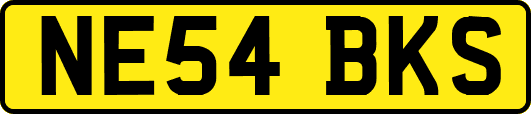 NE54BKS