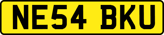 NE54BKU
