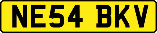 NE54BKV