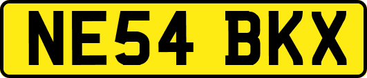 NE54BKX