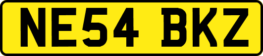 NE54BKZ