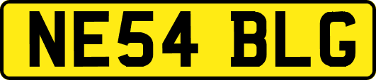 NE54BLG
