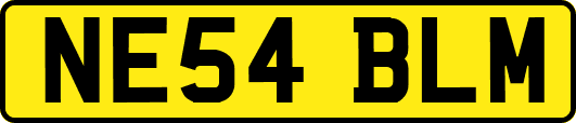NE54BLM