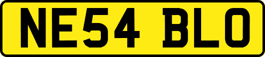 NE54BLO