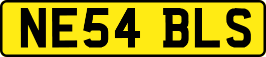 NE54BLS