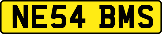 NE54BMS