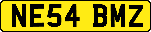 NE54BMZ