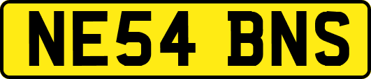 NE54BNS